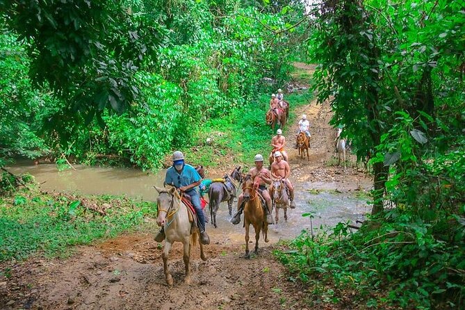 Jungle Buggies + Zilplining + Horseback Ride + Countryside + Macao Beach - A closer look at the horseback ride