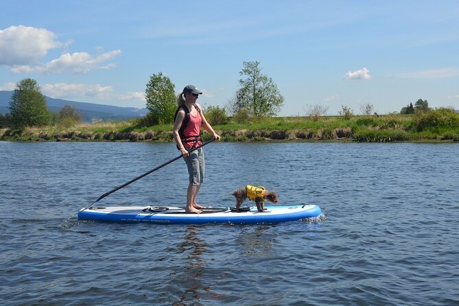 Kayak or Paddleboard Rentals Sosua , Cosita Rica, Neptuno Beach - What a typical rental day looks like