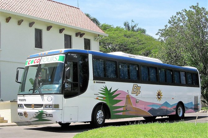 La Romana port transfers (Punta Cana airport to port) - What your pickup should look like at Punta Cana Airport
