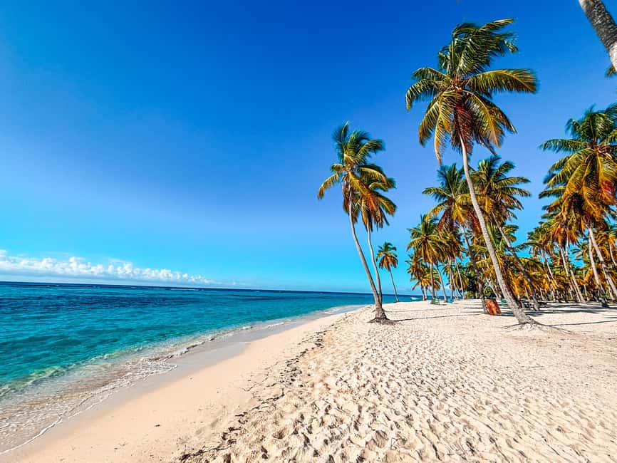 La Romana: Saona Crusoe VIP for cruise guests - Mano Juan and the sea turtle project