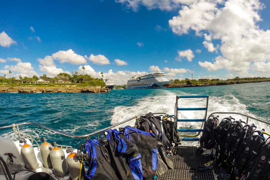 La Romana: Scuba Diving in Catalina Island - The Aquarium, calmer water and smaller creatures