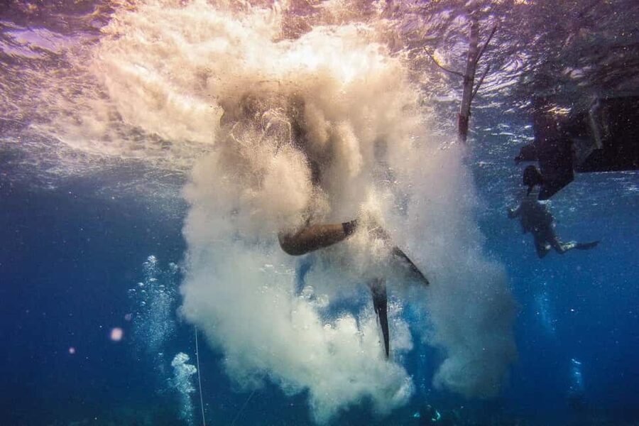 La Romana: Scuba Diving in Catalina Island - What $175 covers, and what it does not