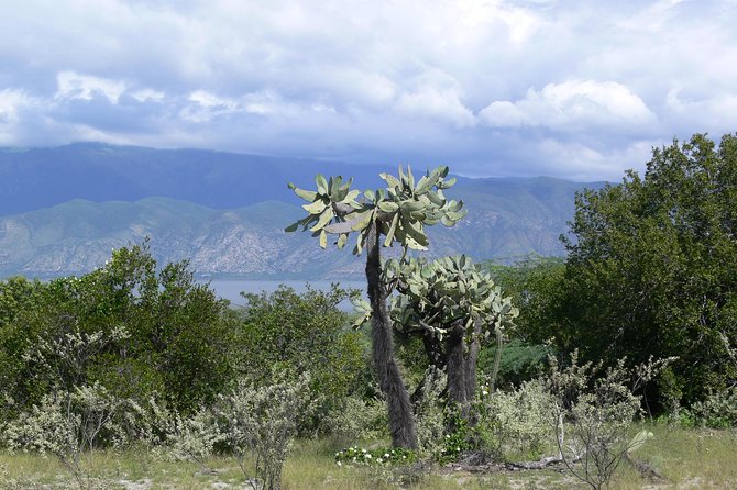 Lake Enriquillo - Why Lake Enriquillo feels so different