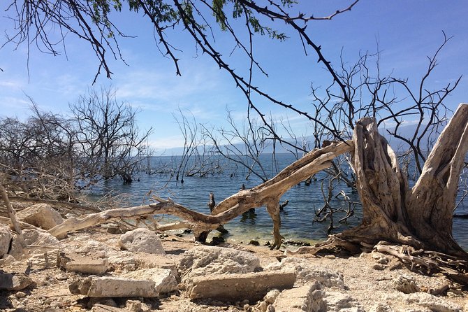 Lake Enriquillo - Lake Enriquillo and the crocodile boat ride
