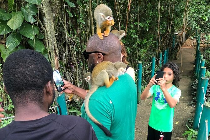 land of monkeys and silver port city tour - Sitting down to a Dominican lunch