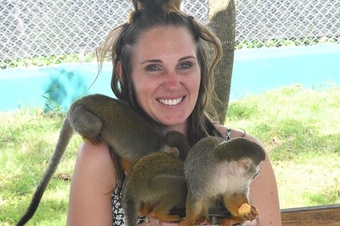 land of monkeys and silver port city tour - Playing with squirrel monkeys at Monkey Home Puerto Plata