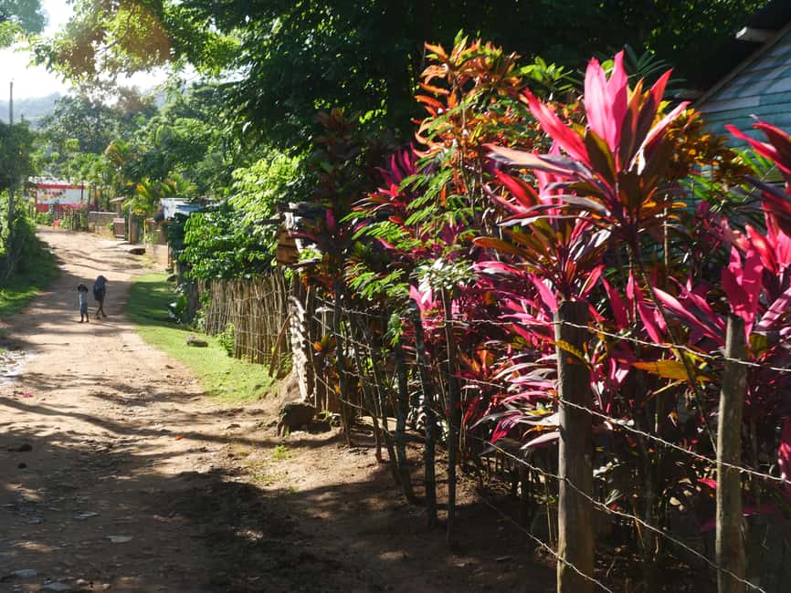 Las Terrenas: El Limón Waterfall Trekking Tour in Samana - Why the early start makes El Limón better