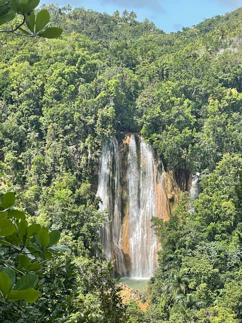 Las Terrenas: El Limón Waterfall Trekking Tour in Samana - Walking through cacao, coffee, and jungle
