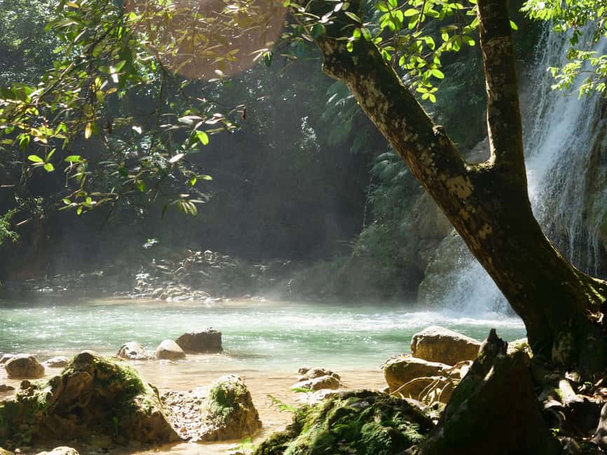 Las Terrenas: El Limón Waterfall Trekking Tour in Samana - The return walk and the real value of the $65 price