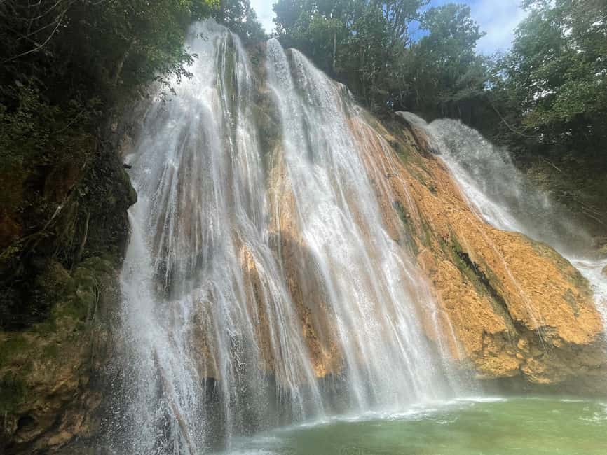 Las Terrenas: El Limón Waterfall Trekking Tour in Samana - Meeting Vincent at Afreeka Beach Hotel