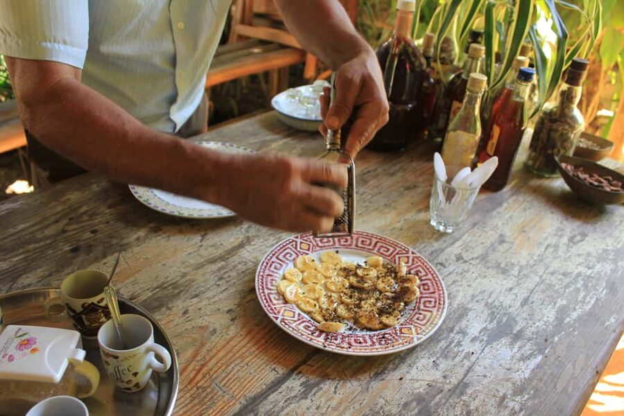 Las Terrenas: Private Coffee Trail ATV Tour in Samana - The coffee and cacao farm visit