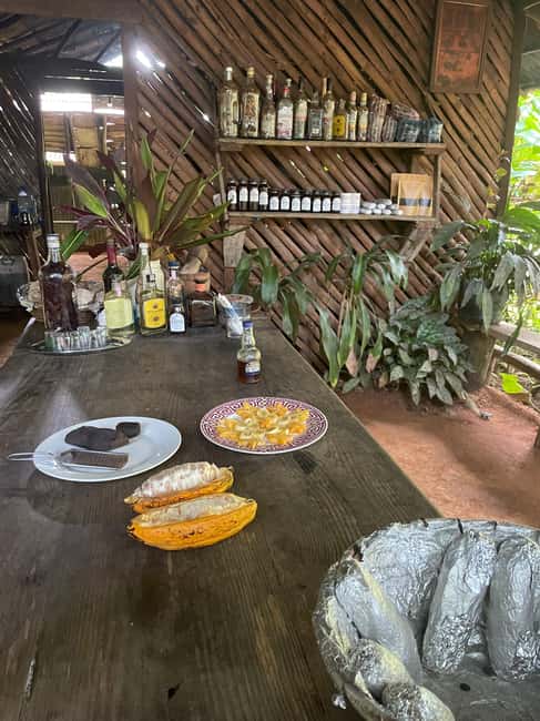 Las Terrenas: Private Coffee Trail ATV Tour in Samana - Guide Vincent and the pace of a private tour