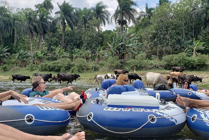Lazy River Tubing Cabarete, Dominican Republic - Weather, water color, and practical expectations
