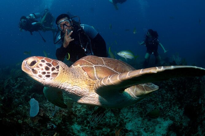 Learn to Scuba Dive in Punta Cana - Key points before you book