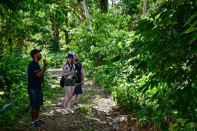 Let's do hiking in Punta Cana - Leaving Punta Cana for the Eastern Cordillera
