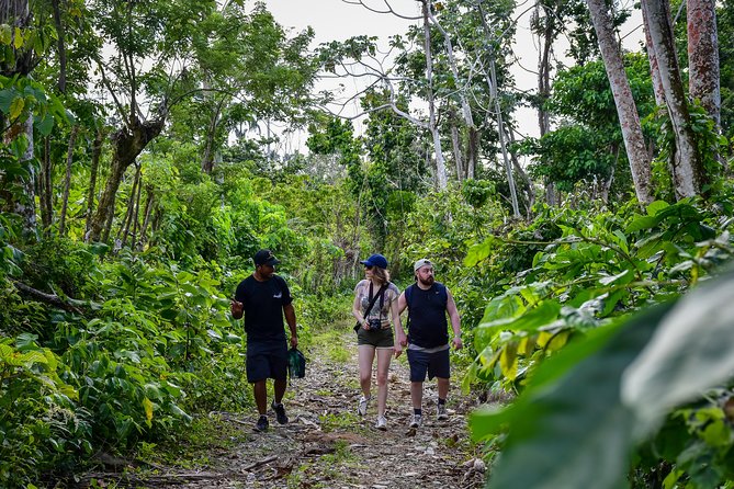 Let's do hiking in Punta Cana - Who will enjoy this hike most