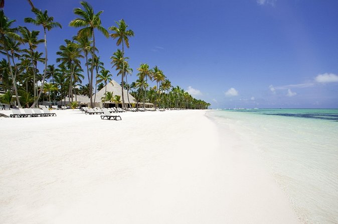Live Aqua Beach Resort Punta Cana - Round Trip Shuttle - Punta Cana Airport - Is $133.34 good value?