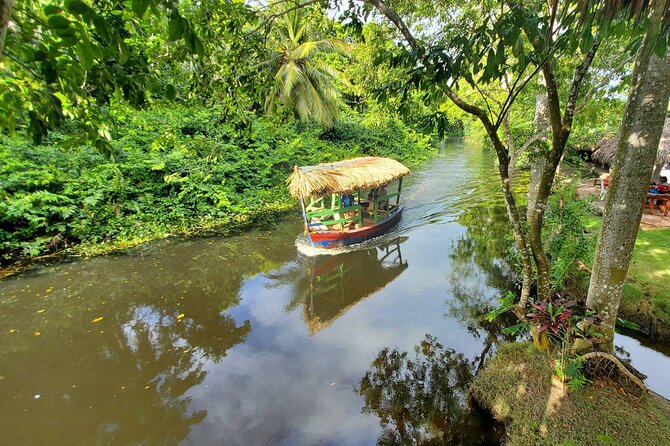 Local Excursion || Jungle Safari Excursion - Key points to know before you book