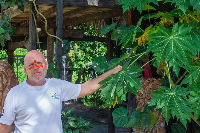 Local Excursion || Jungle Safari Excursion - Is $95 a fair price?