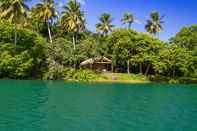 Local Excursion || Jungle Safari Excursion - The ecological park and its local plants