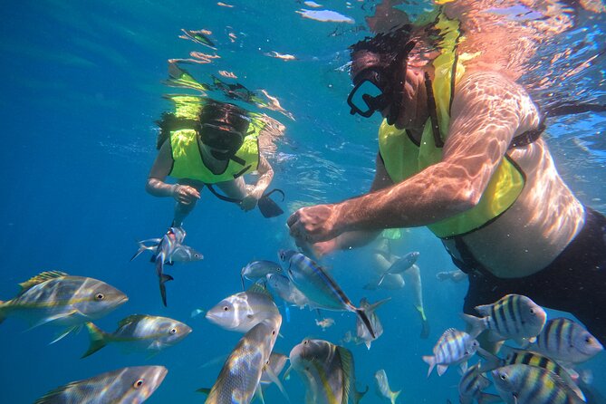 Local Excursion | Paradise Island Punto Rucia & snorkeling - The return through Monte Cristi National Park