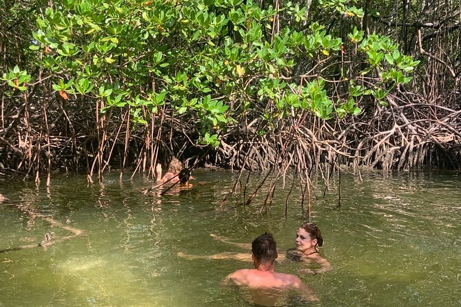 Local Excursion | Paradise Island Punto Rucia & snorkeling - The early road to Punta Rucia