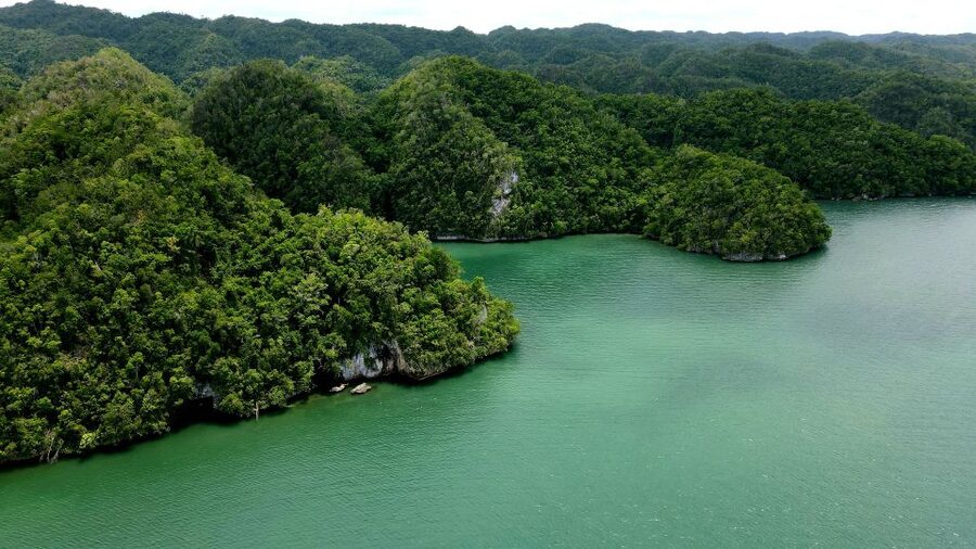 Los Haitises: Boat Excursion and Walking Tour with Lunch - Timing, weather, and practical planning