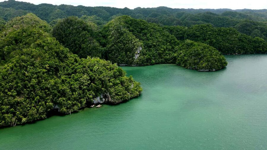 Los Haitises: Boat Excursion and Walking Tour with Lunch - Who should book this seven-hour outing?