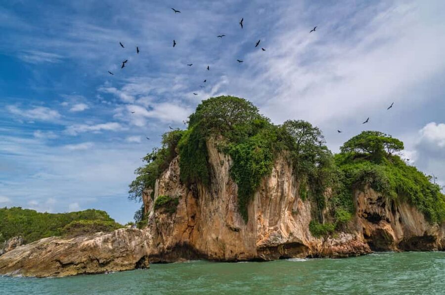 Los Haitises: Boat + Lunch at the beach & Natural pools - Who should book this Los Haitises tour?