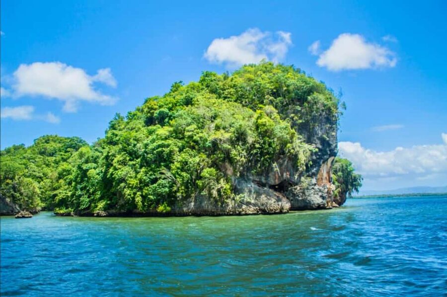 Los Haitises Boat Ride + Caño Hondo Natural Pools - Who should book this experience