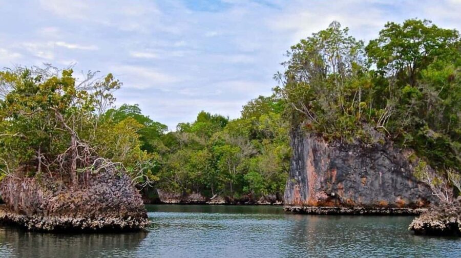 Los Haitises Boat Ride + Caño Hondo Natural Pools - La Arena and La Línea, caves with a human story