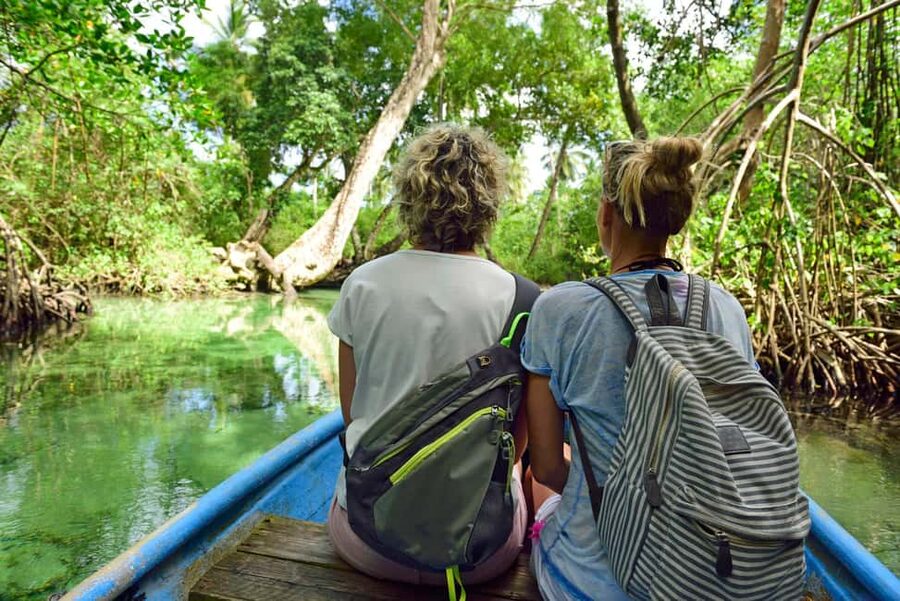 Los Haitises: Caves, Mangroves, & Rainforest Hike/Boat Tour - Key points to know before booking