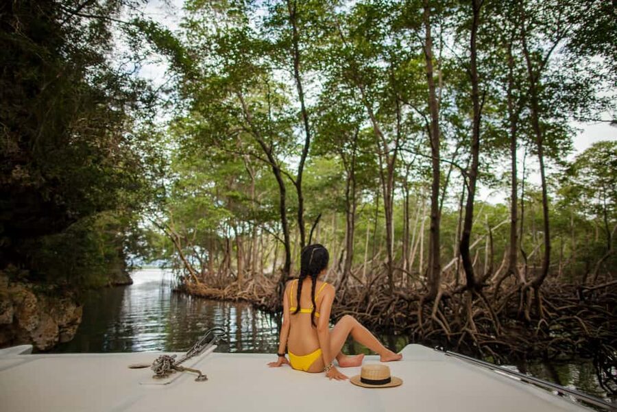 Los Haitises: Caves, Mangroves, & Rainforest Hike/Boat Tour - Why Los Haitises works best as a boat and walking day