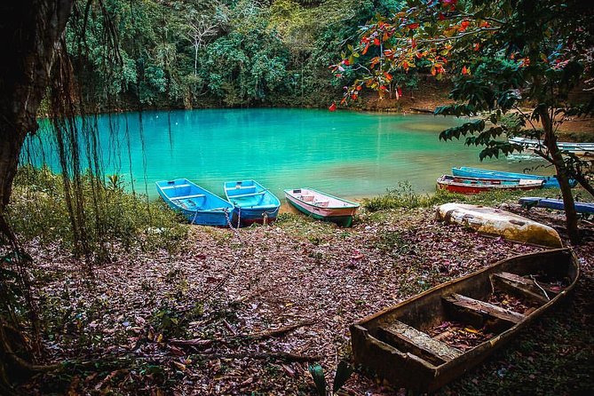 Los Haitises & Cayo Levantado (Lunch included, from Samana in Catamaran or Boat) - Key points to know before booking
