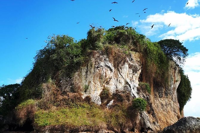 Los Haitises & Cayo Levantado (Lunch included, from Samana in Catamaran or Boat) - Group size, timing, and comfort
