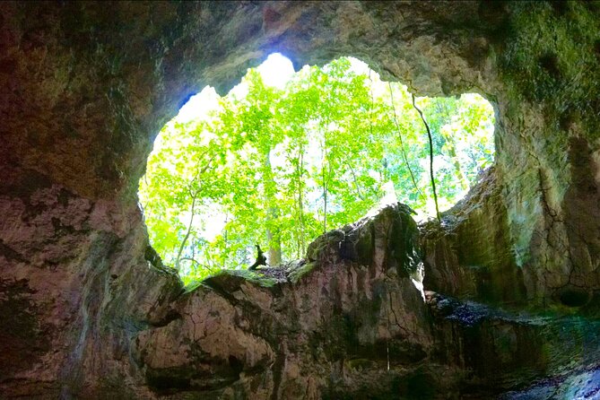 Los Haitises National Park and Cayo Levantado Island Day Trip from Samana - Why this Samaná day trip works
