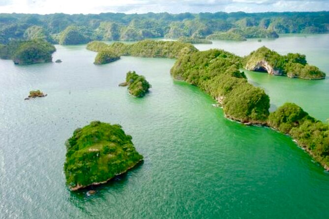 Los Haitises National Park and Cayo Levantado Island Day Trip from Samana - Mangroves, islands, and tropical birds