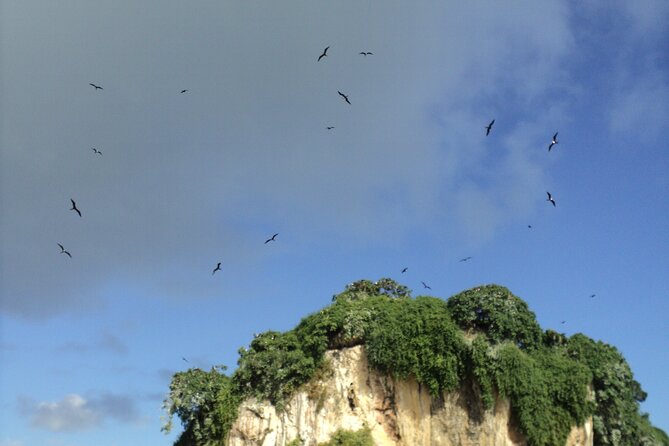 Los Haitises National Park and Cayo Levantado Island Day Trip from Samana - What the $99.99 price covers