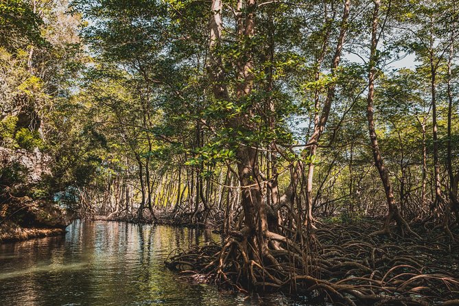 Los Haitises National Park Tour from Las Terrenas or Samana (Half Day Trip) - Fishing Communities and Coastal Life