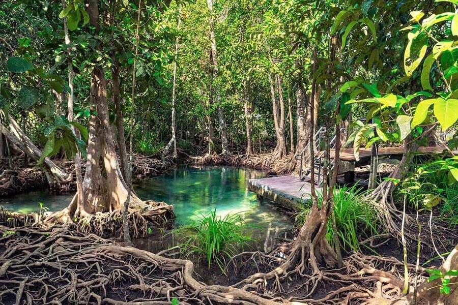 Mangroves, Mogotes and Mountains from Punta Cana - Los Haitises reveals a limestone world
