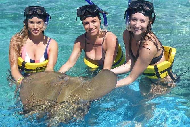 Marinarium Snorkeling Cruise from Punta Cana - Snorkeling near fish, sharks, and rays