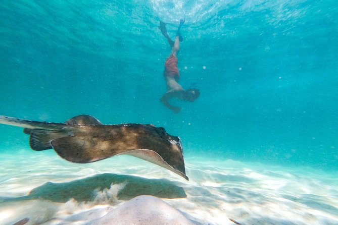 Marinarium Snorkeling Cruise from Punta Cana - The Marinarium stop and its limits
