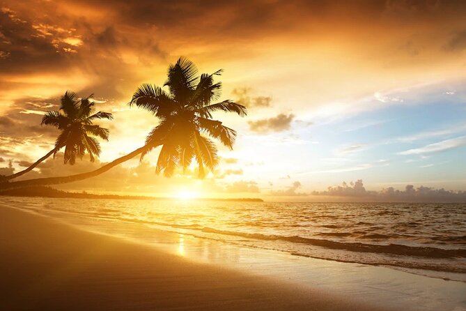 Meliá Caribe Beach - Round Trip Shuttle - Punta Cana Airport - Who will get the most from this shuttle