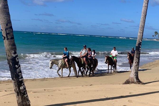 Miches Beach Horseback Riding - What makes this different from a resort ride