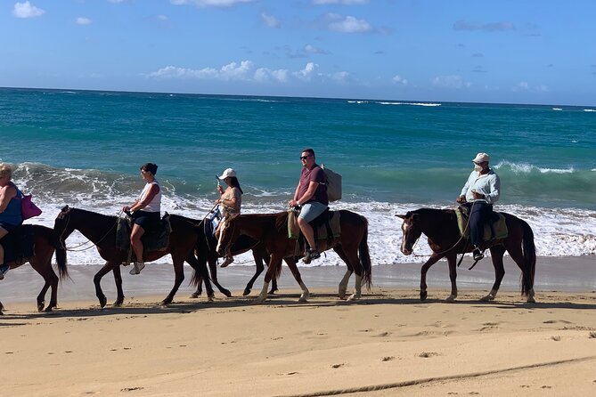 Miches Beach Horseback Riding - How much value you get for $70