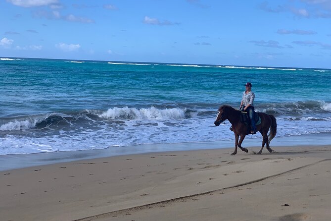 Miches Beach Horseback Riding - Heat, comfort, and horse condition