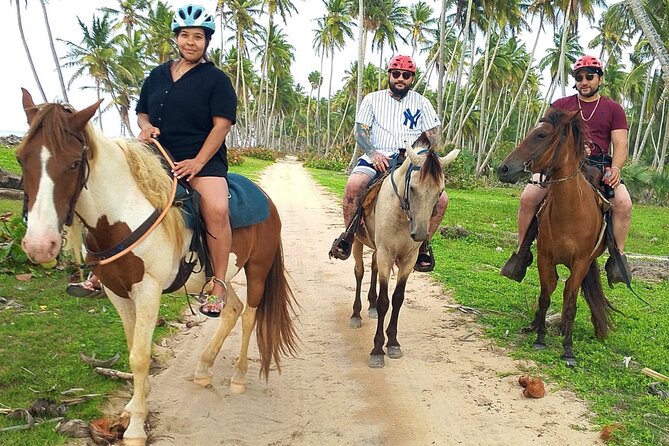 Miches Beach Horseback Riding - Meeting the horses at the family ranch