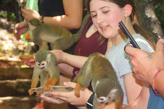 Monkey Enconter & Zip line Adventure - Seven zipline stations across 4,500 feet