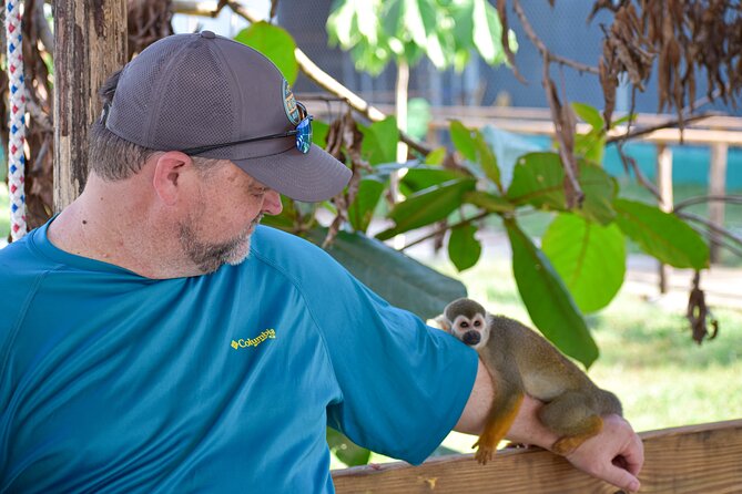 Monkey Encounter and Zip Line Tour from Amber Cove and Taino Bay - A short walk with macaws, toucans, and cockatoos