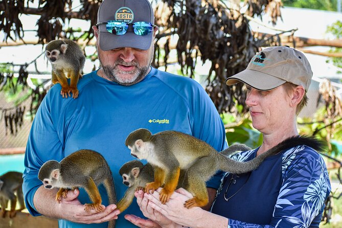 Monkey Encounter and Zip Line Tour from Amber Cove and Taino Bay - What the $124.99 price really covers